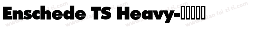 Enschede TS Heavy字体转换